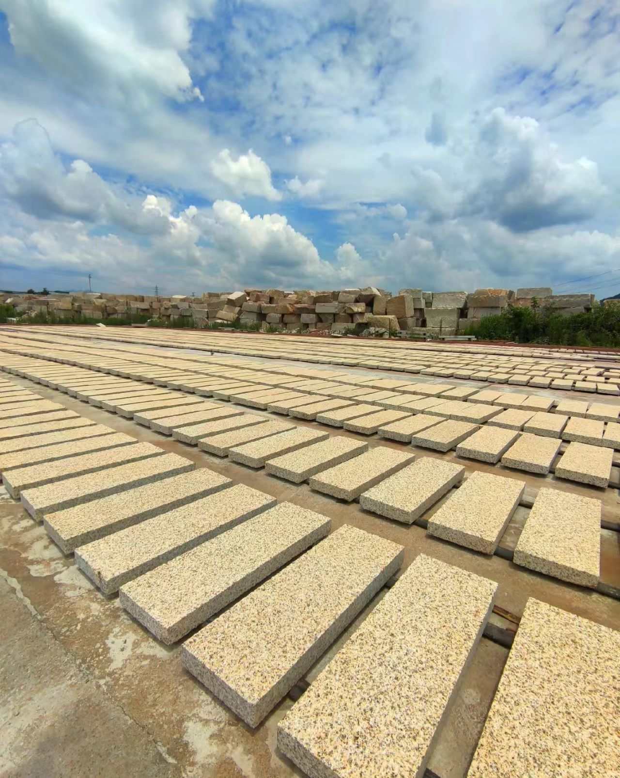 景德镇 黄金麻花岗岩荔枝面地铺石防护中