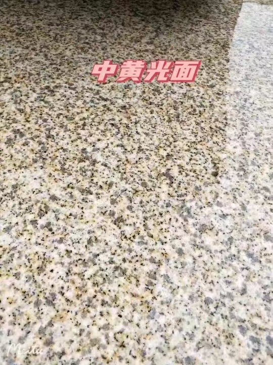 景德镇黄金麻中黄光面